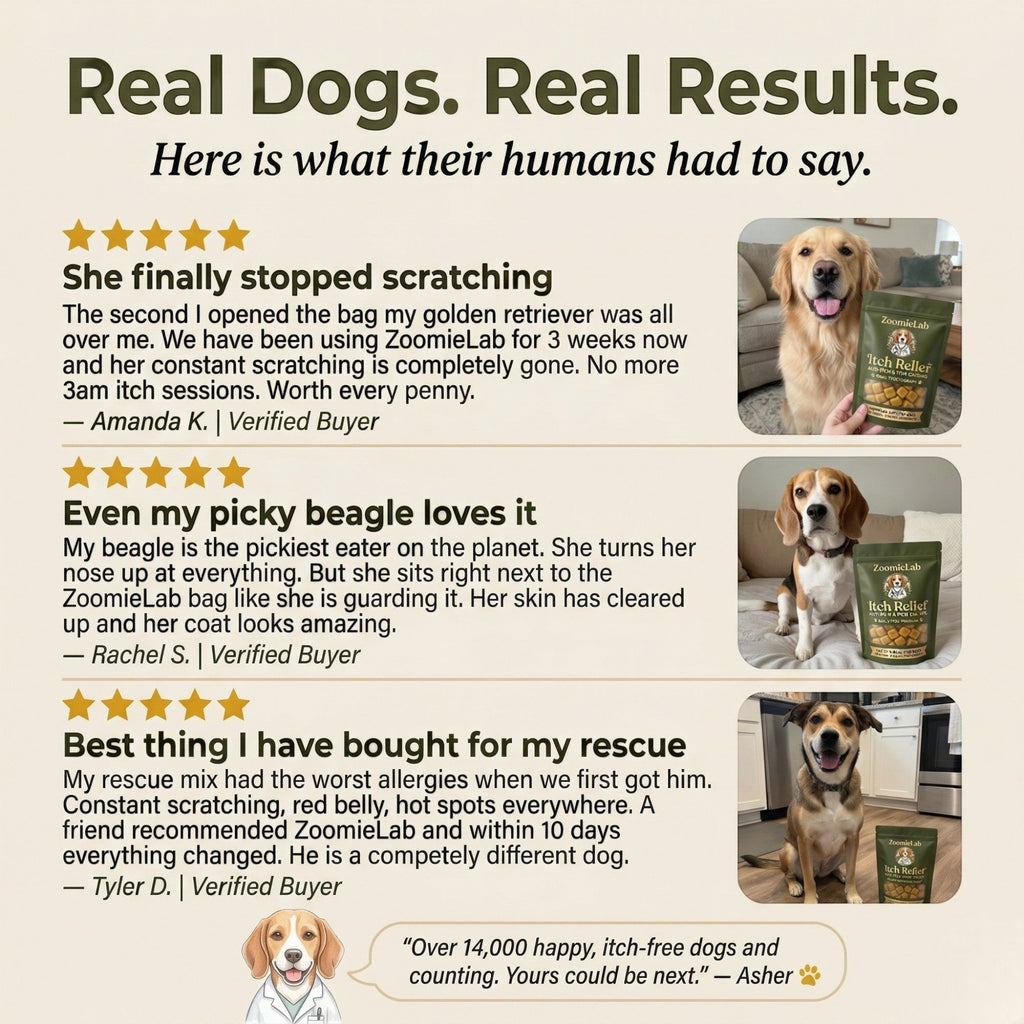 Vet formulated Allergy & Itch Relief Probiotic Chews