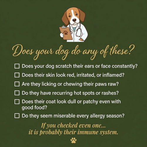 Vet formulated Allergy & Itch Relief Probiotic Chews