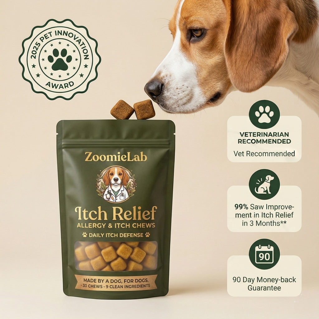 Vet formulated Allergy & Itch Relief Probiotic Chews